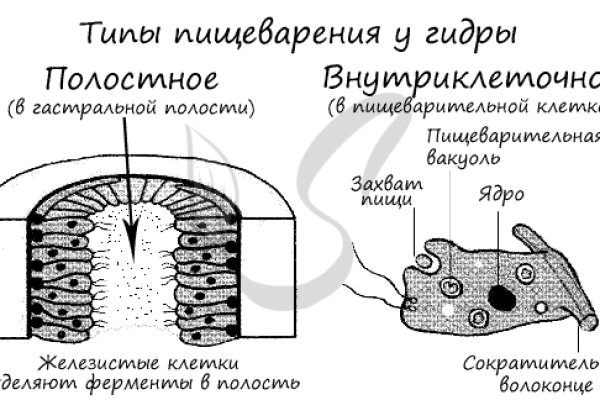 Как восстановить аккаунт кракен