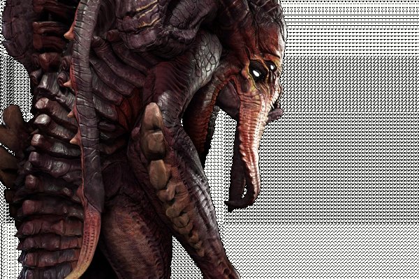 Kraken17 at
