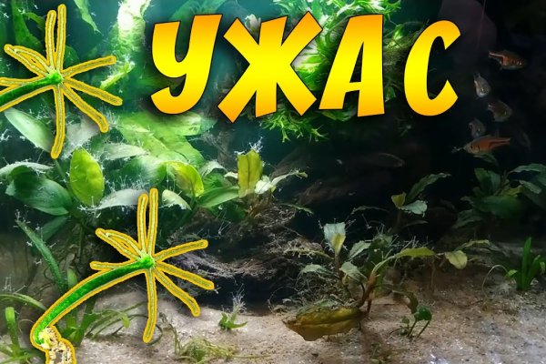 Kraken ссылка tor официальный сайт