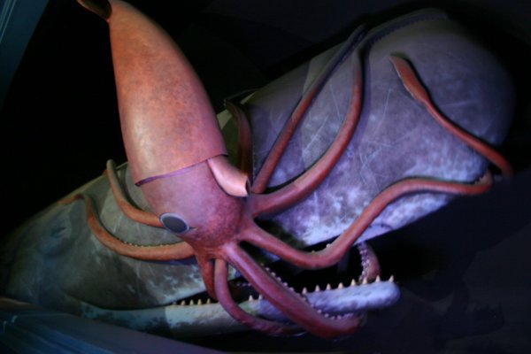 Kraken market ссылка