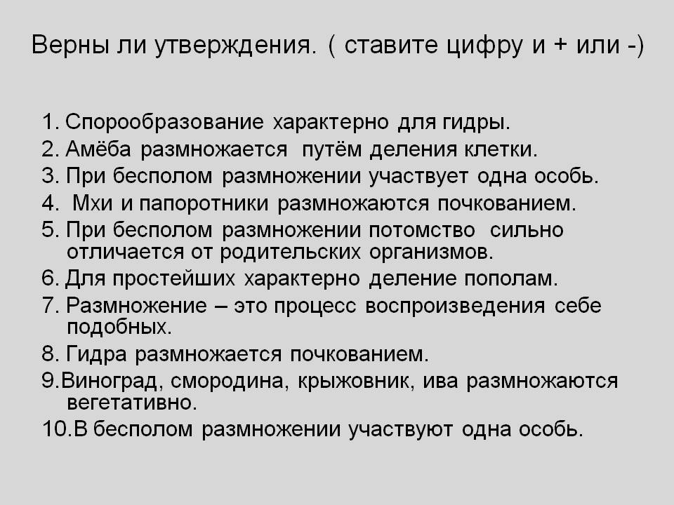 Кракен адрес тор