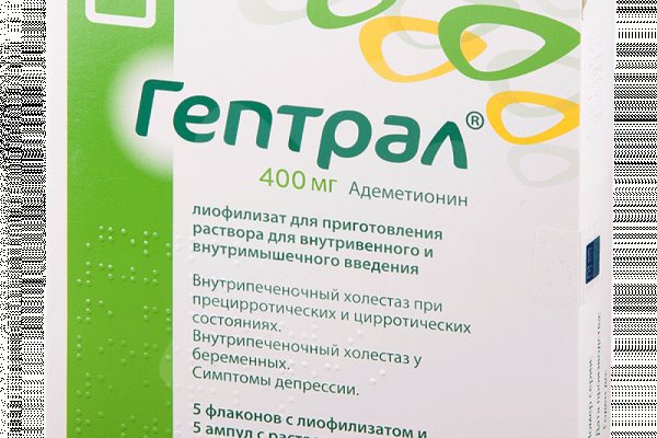 Kraken17 at сайт