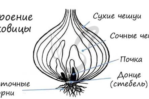Кракен зеркало рабочее на сегодня krakenat2krnkrnk com